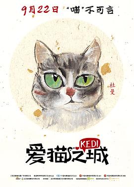 爱猫之城纪录片